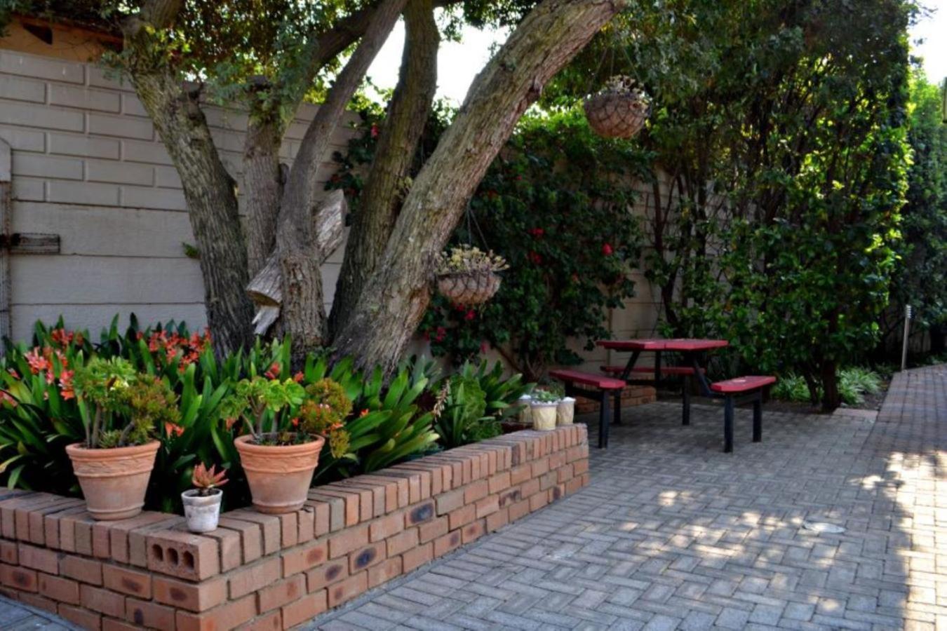 Bokmakierie Gastehuis Emalahleni Pty Ltd Luaran gambar